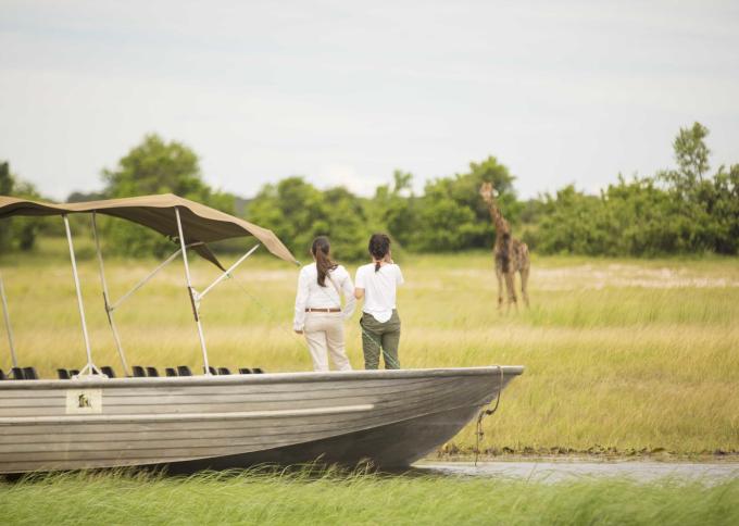 Safari w Chobe