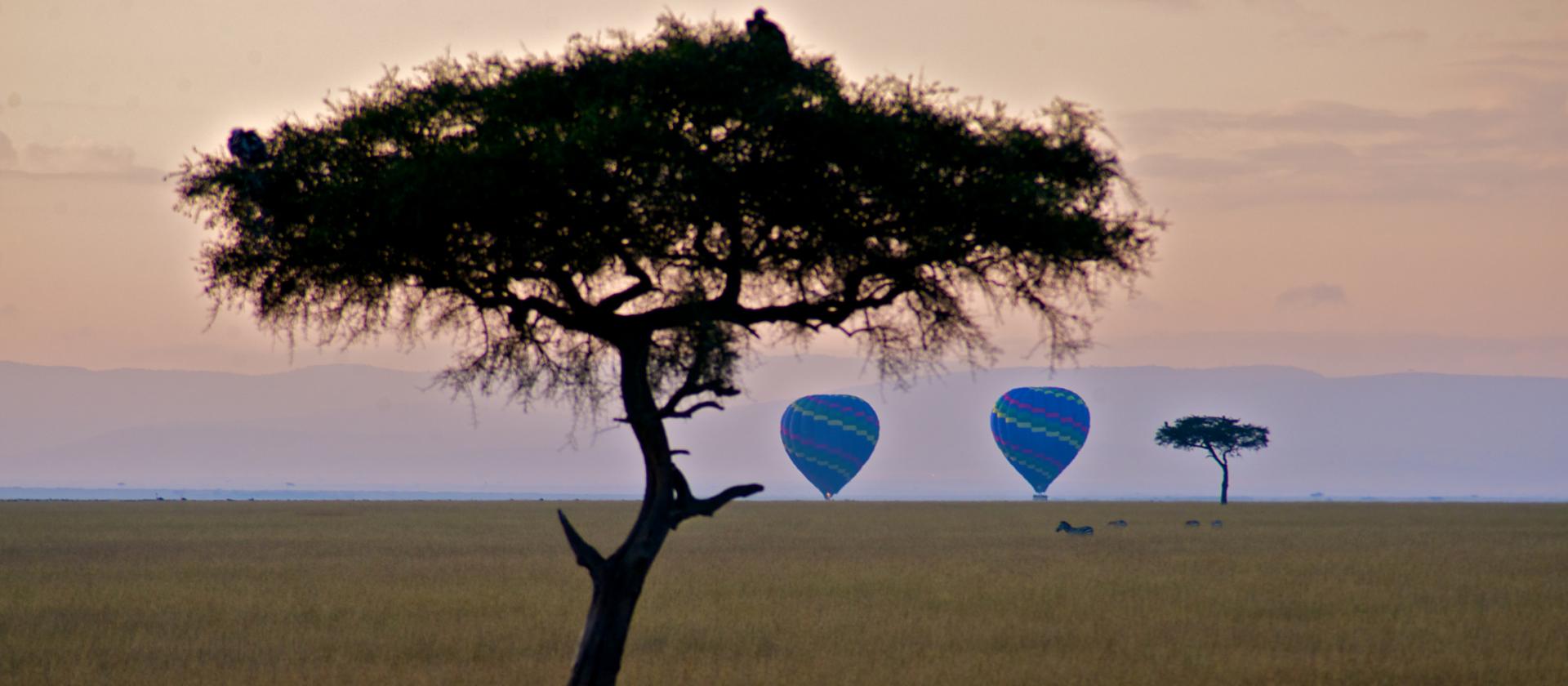 Mara Intrepids Luxury Tented Camp