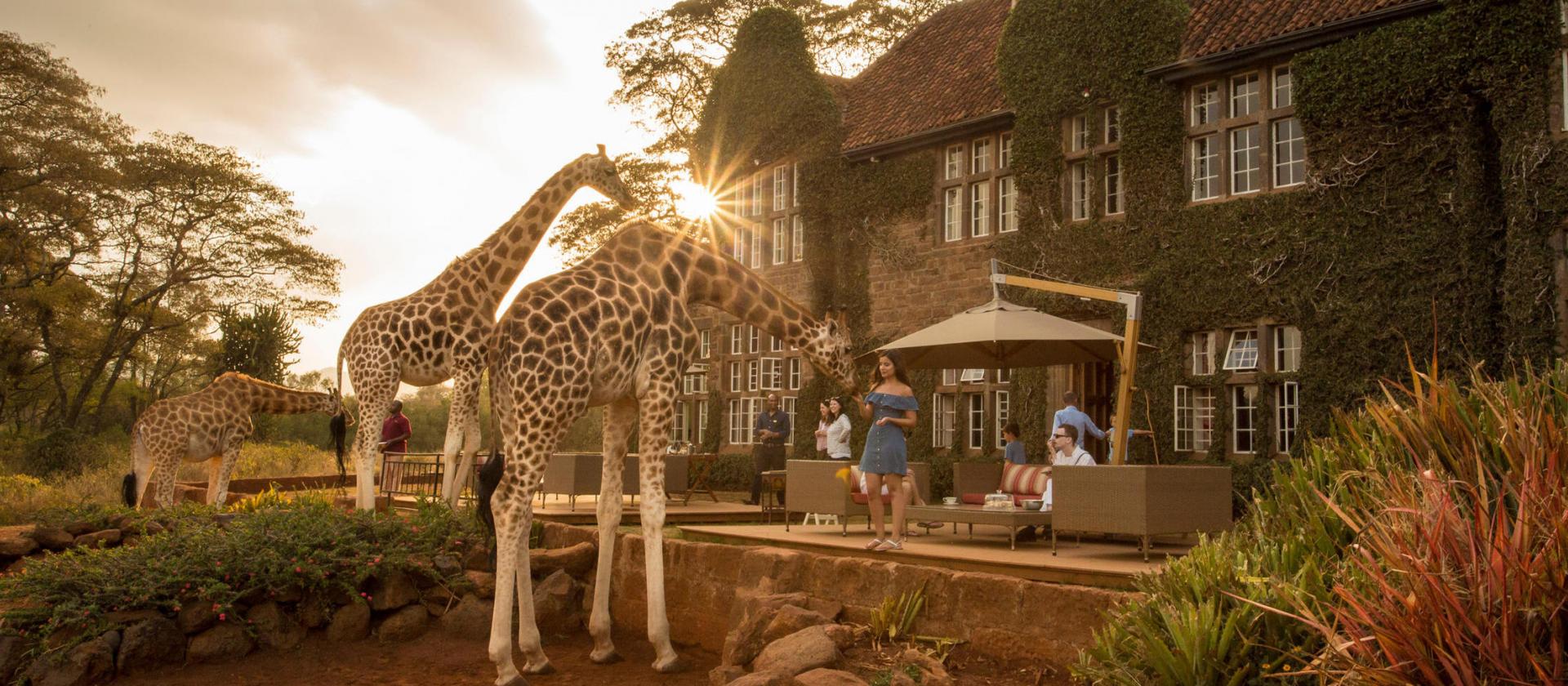 Giraffe Manor