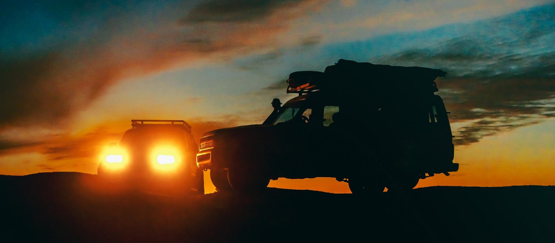 Nocne safari