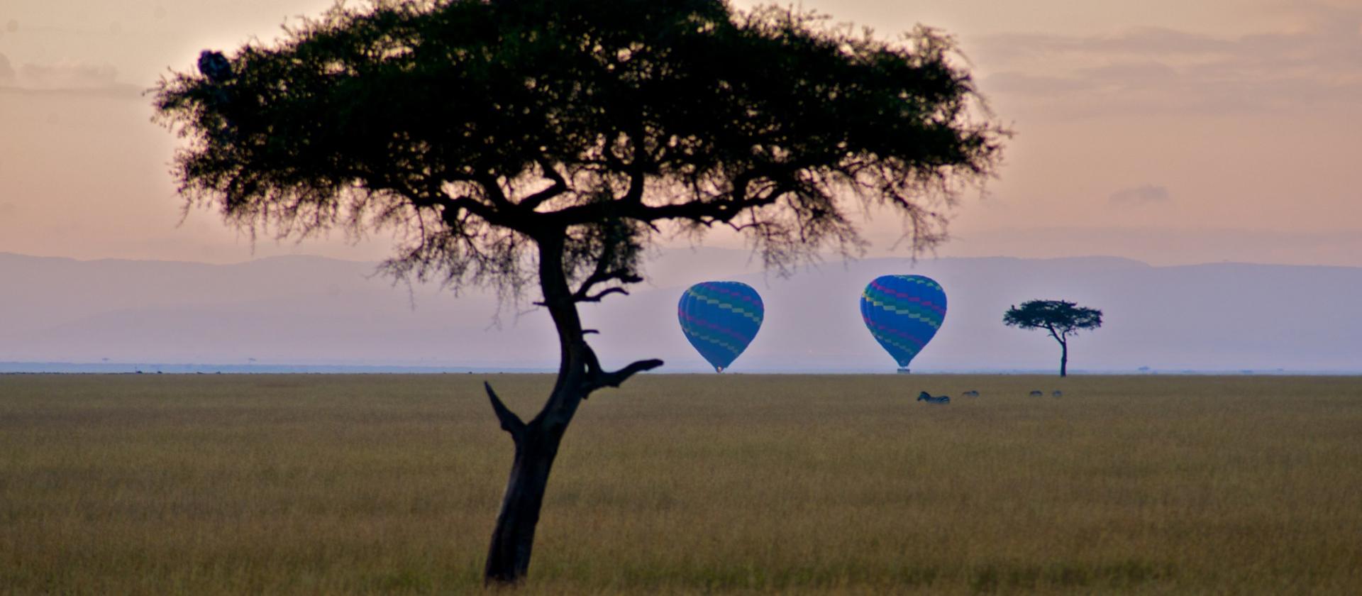 Safari z lotu ptaka