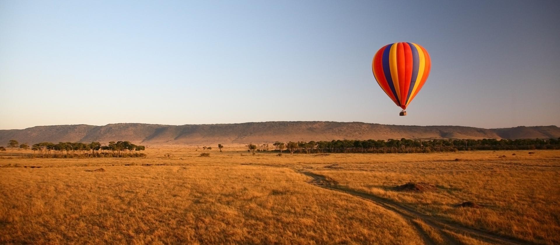 Safari z lotu ptaka