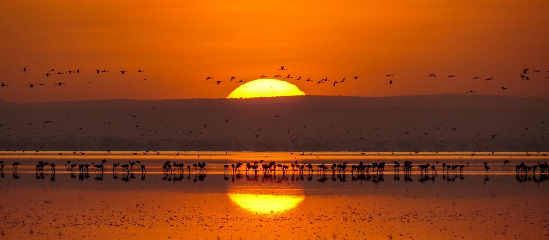 Sundowner – koktajl o zachodzie słońca
