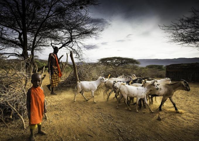 Masajowie z Masai Mara