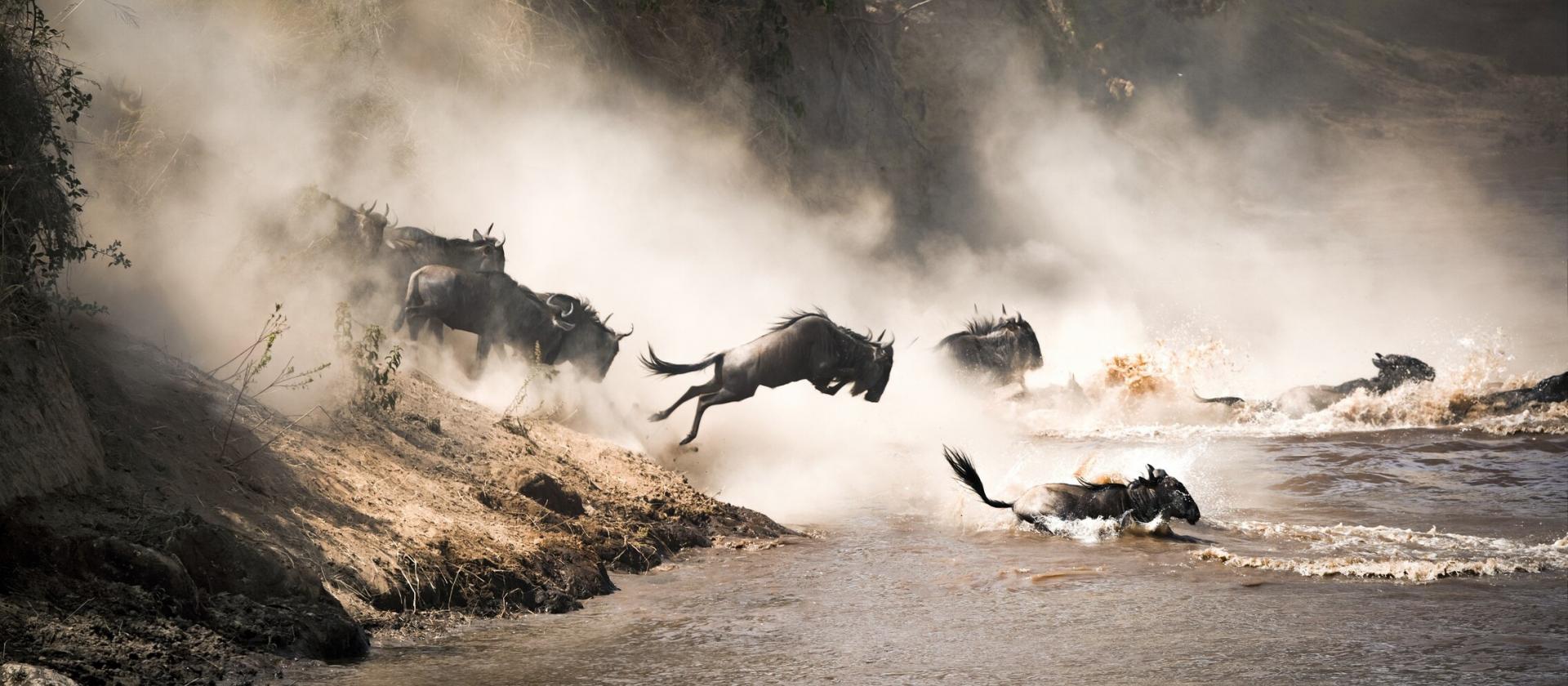 Safari w Masai Mara oraz śniadanie z żyrafami