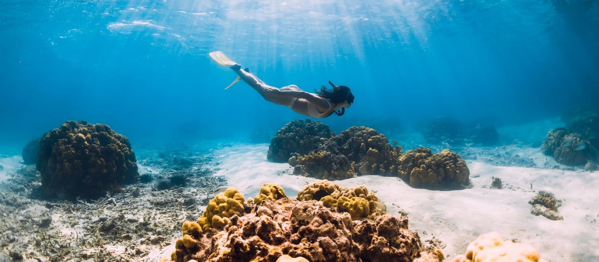 Nurkowanie na Mauritiusie