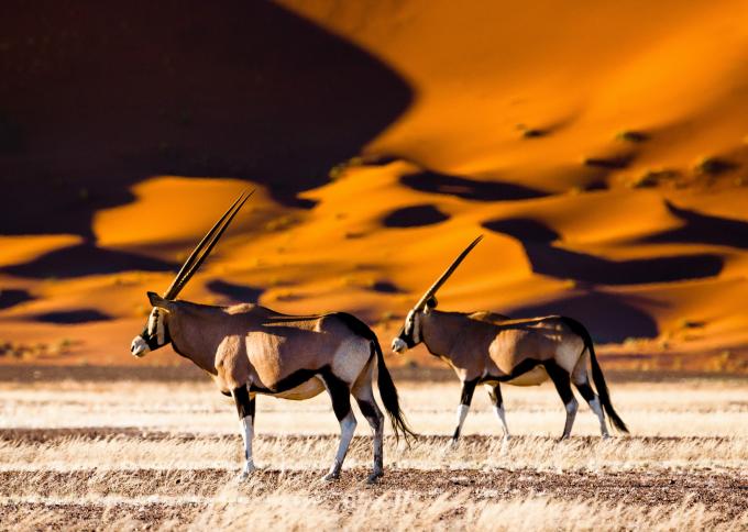 Sesriem i Park Narodowy Namib-Naukluft