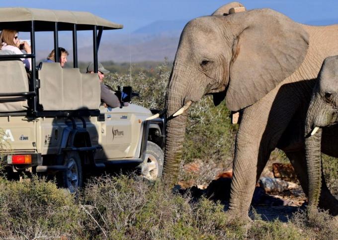 Film o Sanbona Wildlife Reserve 