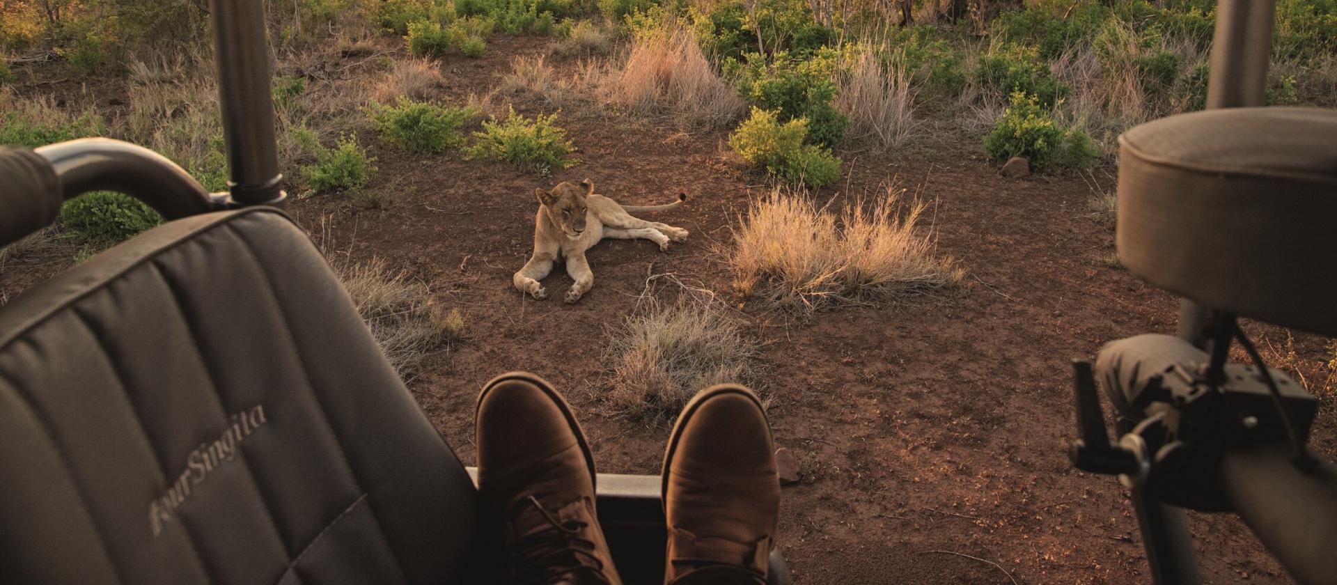 Safari w Parku Narodowym Krugera