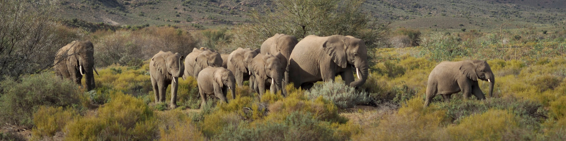 Sanbona Wildlife Reserve – RPA z Memories Vacations