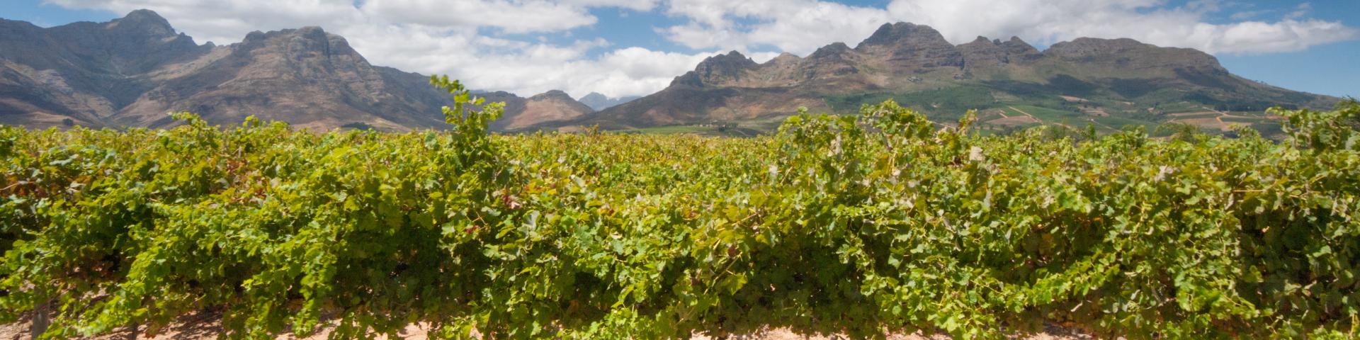 Winelands – RPA z Memories Vacations