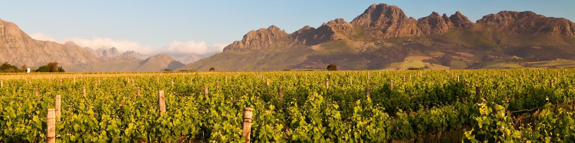Rowerowa wycieczka po winnicach Stellenbosch i Franshhoek – RPA z Memories Vacations