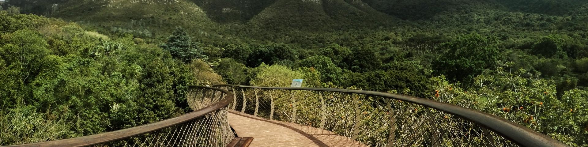 Wizyta w Narodowym Ogrodzie Botanicznym Kirstenbosch – RPA z Memories Vacations