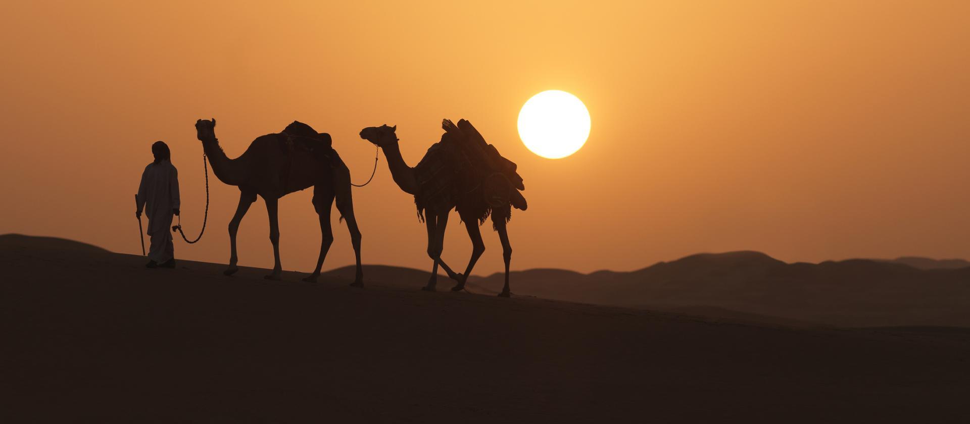 Dubaj i Seszele – nowoczesna metropolia i rajskie plaże wyspy Praslin