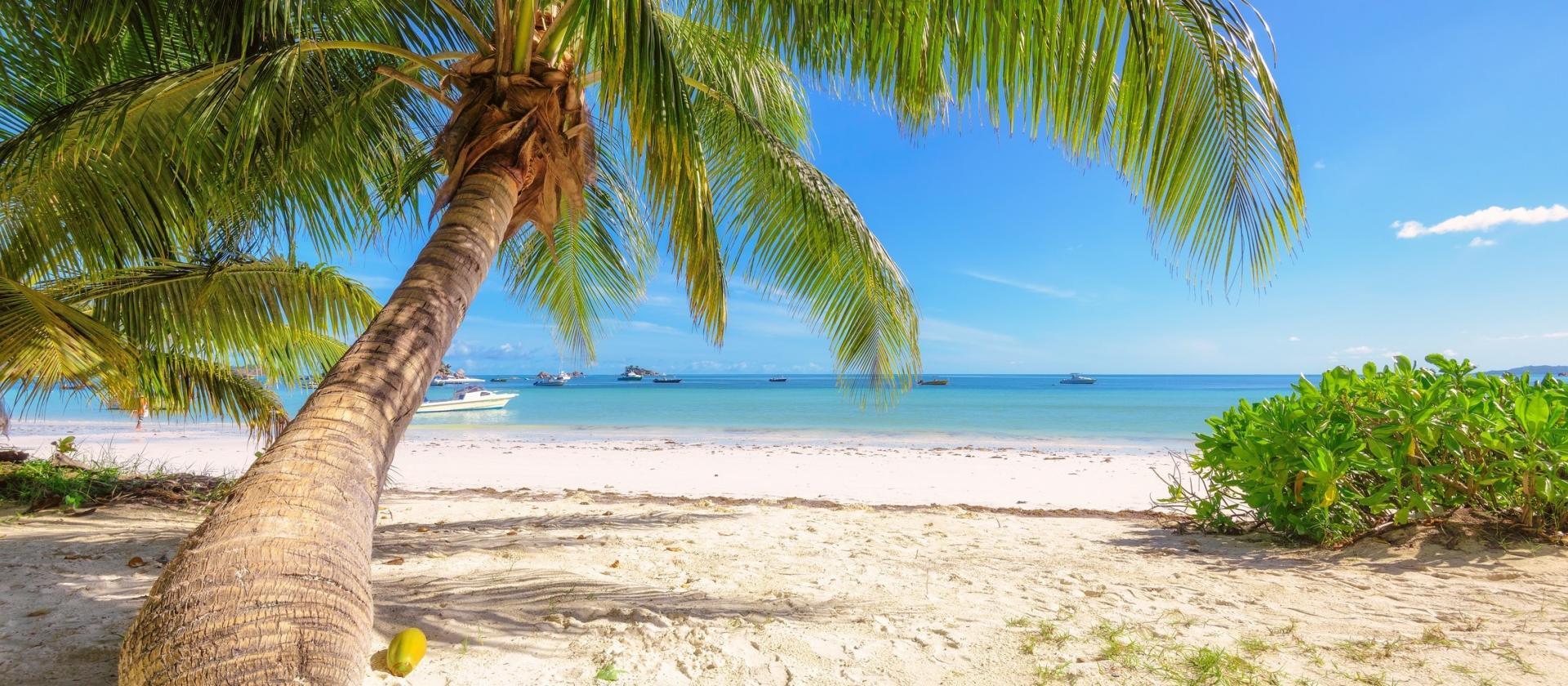 Dubaj i Seszele – nowoczesna metropolia i rajskie plaże wyspy Praslin