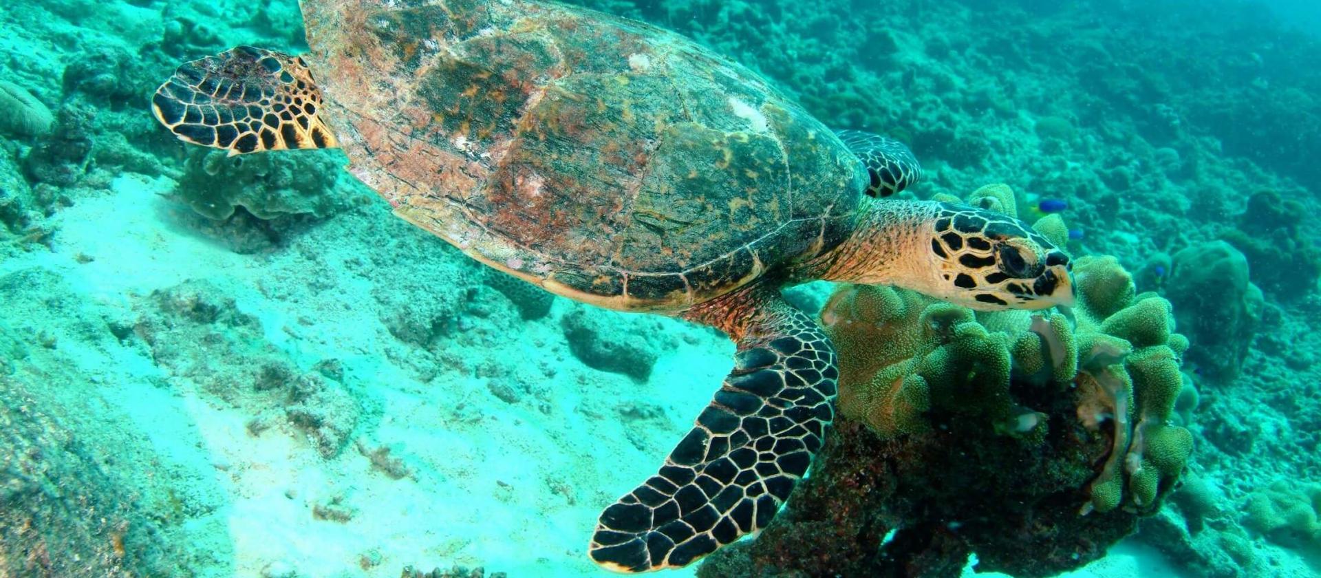 Trzy wyspy Seszeli – rajskie plaże wysp Praslin, La Digue i Mahe 