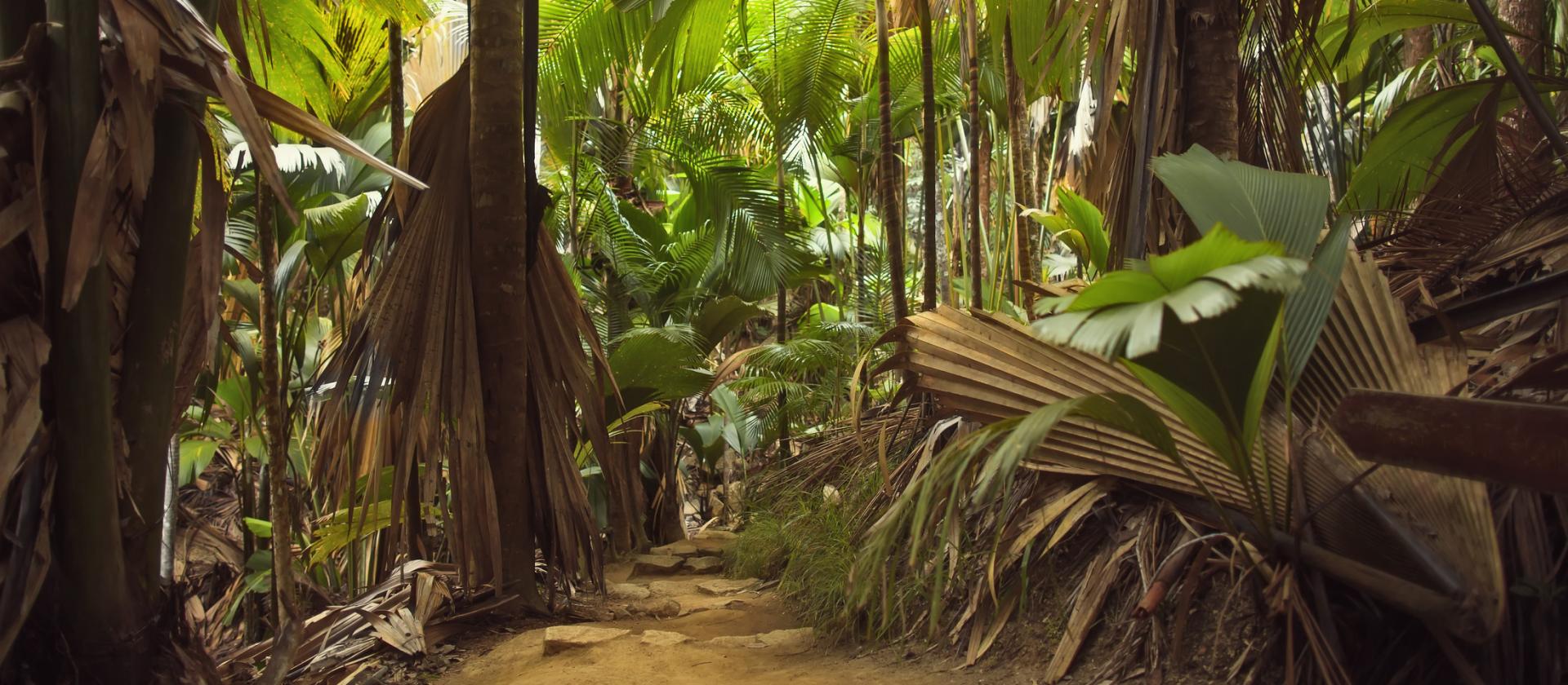 Wakacje na dwóch wyspach Seszeli – Praslin i Mahe