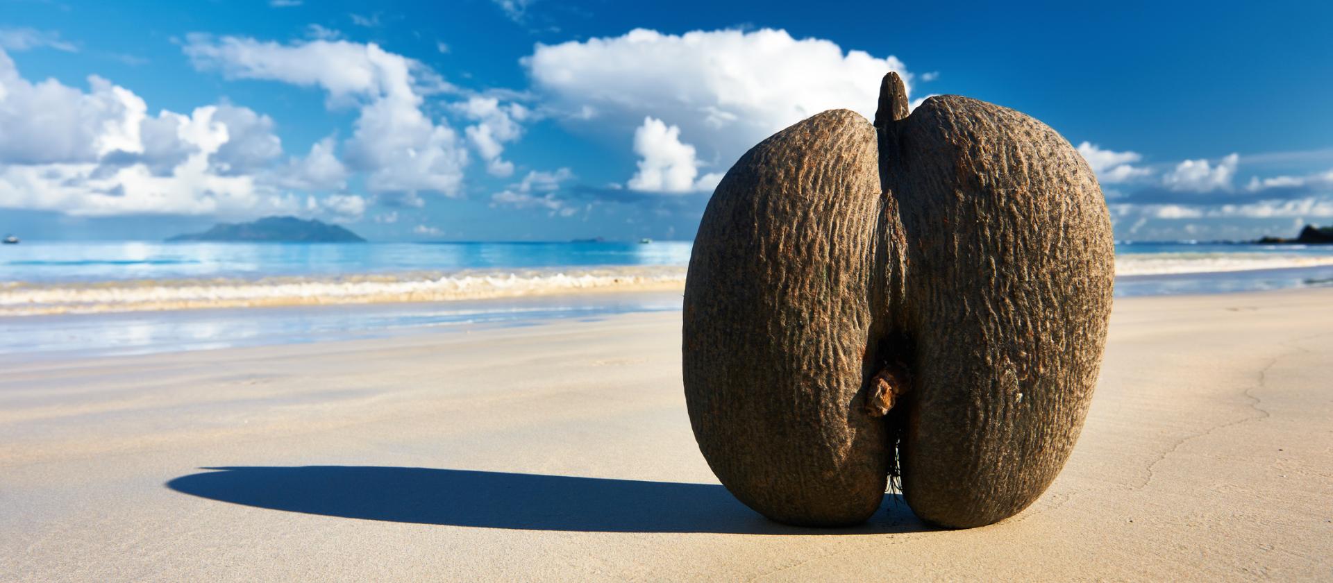 Wakacje na dwóch wyspach Seszeli – Praslin i Mahe