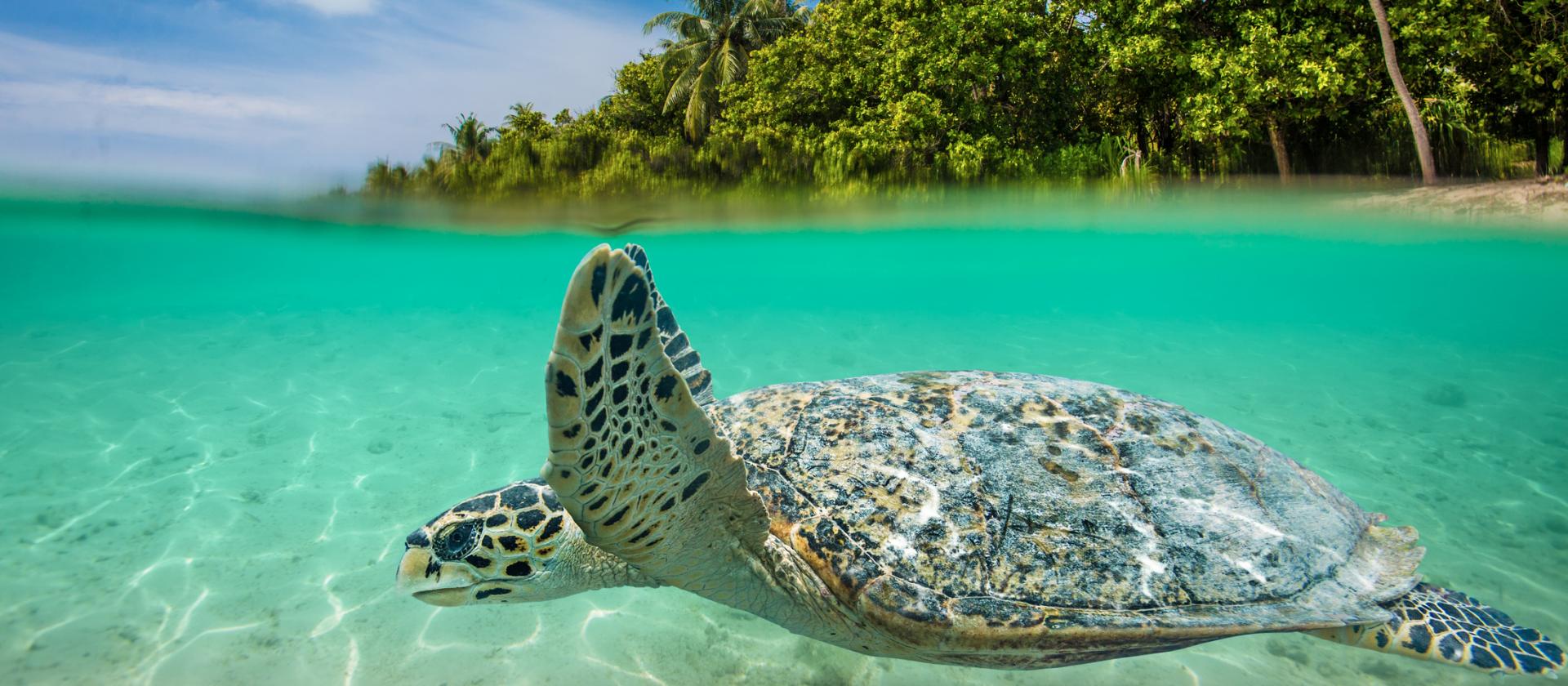 Wakacje na dwóch wyspach Seszeli – Praslin i Mahe