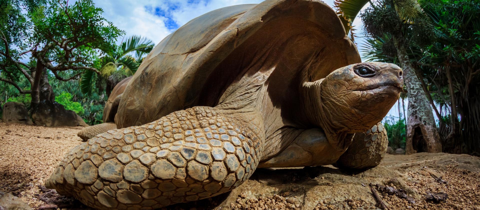 Wakacje na dwóch wyspach Seszeli – Praslin i Mahe