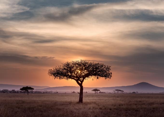 Serengeti
