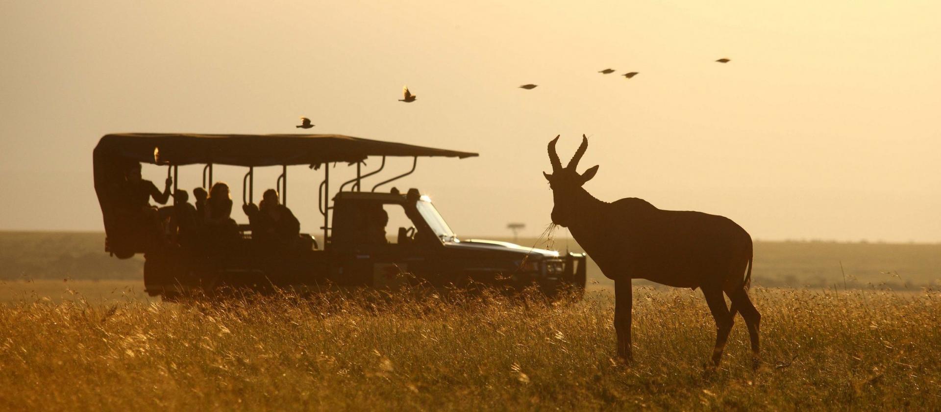 Luksusowe safari w Amboseli, Shaba i Masai Mara oraz plaże Zanzibaru