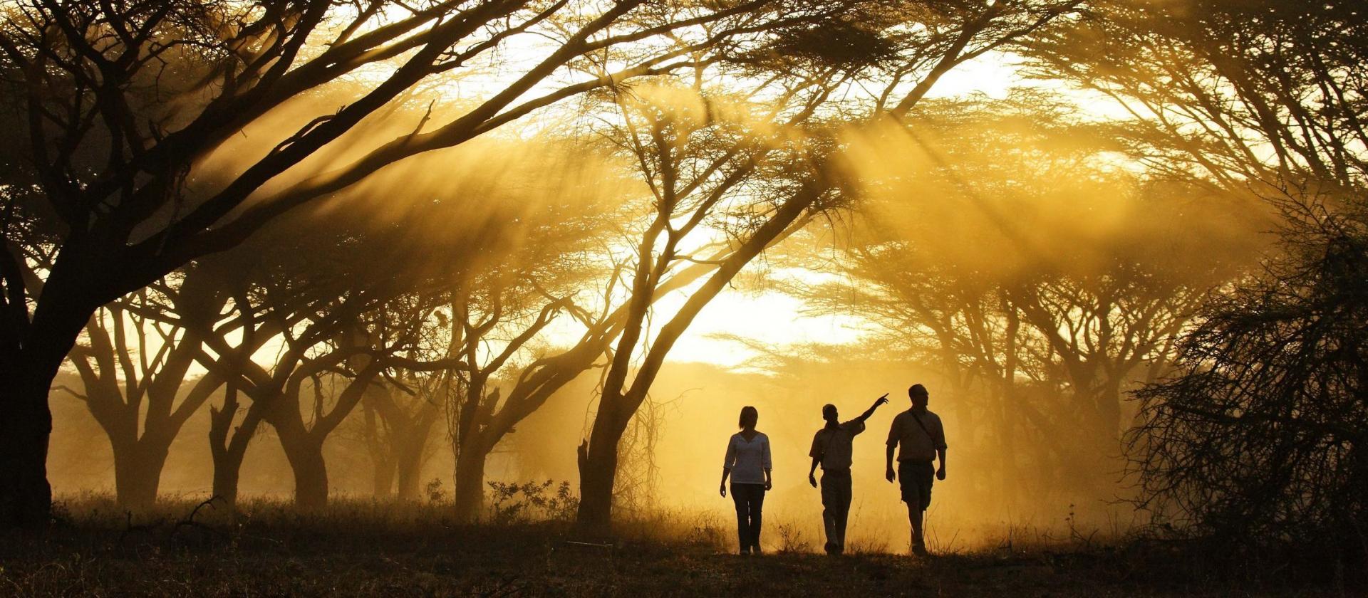 Luksusowe safari w Amboseli, Shaba i Masai Mara oraz plaże Zanzibaru
