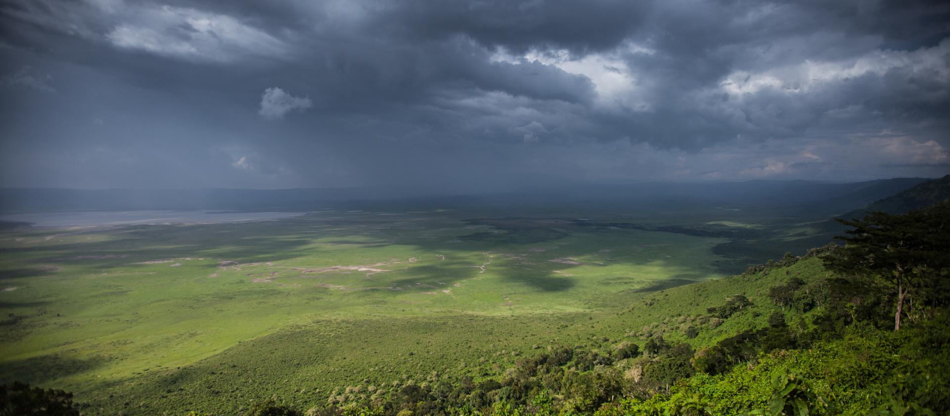 Prywatne safari w Tanzanii i odpoczynek na rajskim Zanzibarze