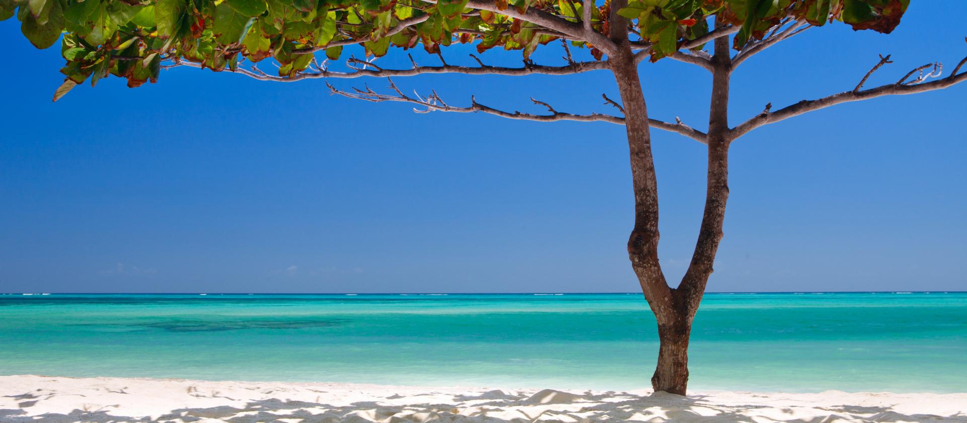 Wakacje na Zanzibarze w hotelu The Z Hotel