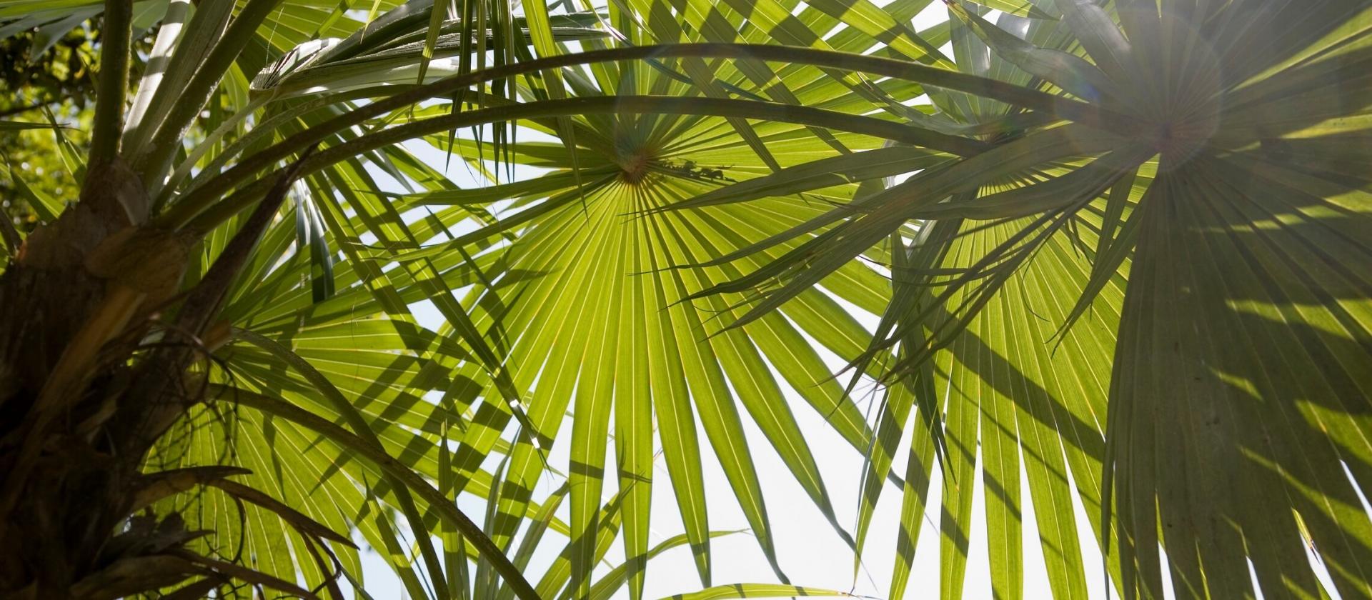 Zakupowe szaleństwo w Nowym Jorku i błogi relaks na plażach wysp Turks i Caicos