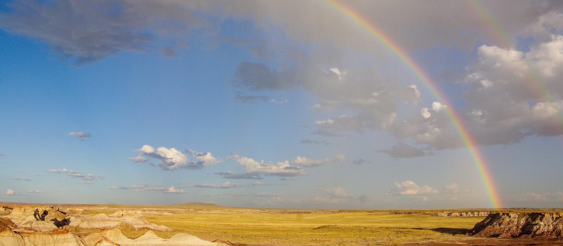Park Narodowy Skamieniałego Lasu (Petrified Forest National Park)