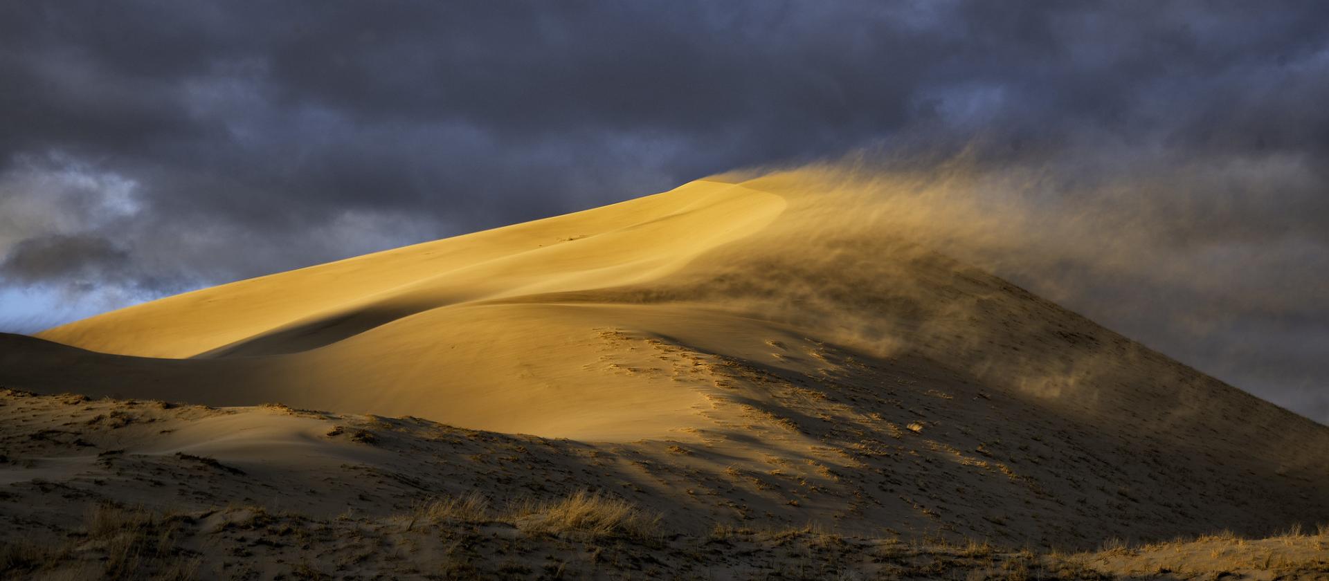 Mojave National Preserve
