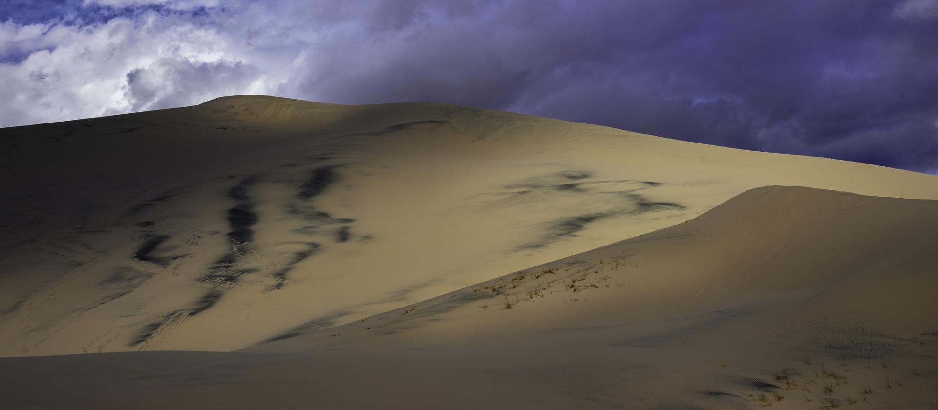Mojave National Preserve