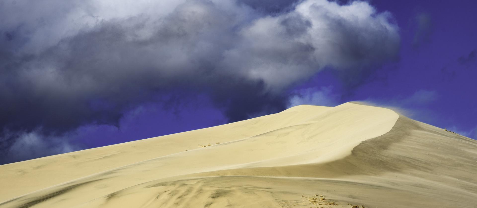 Mojave National Preserve