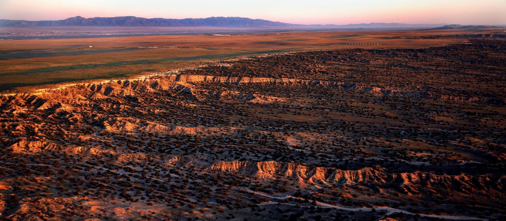 Albuquerque