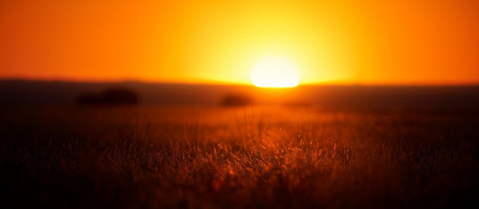 Albuquerque