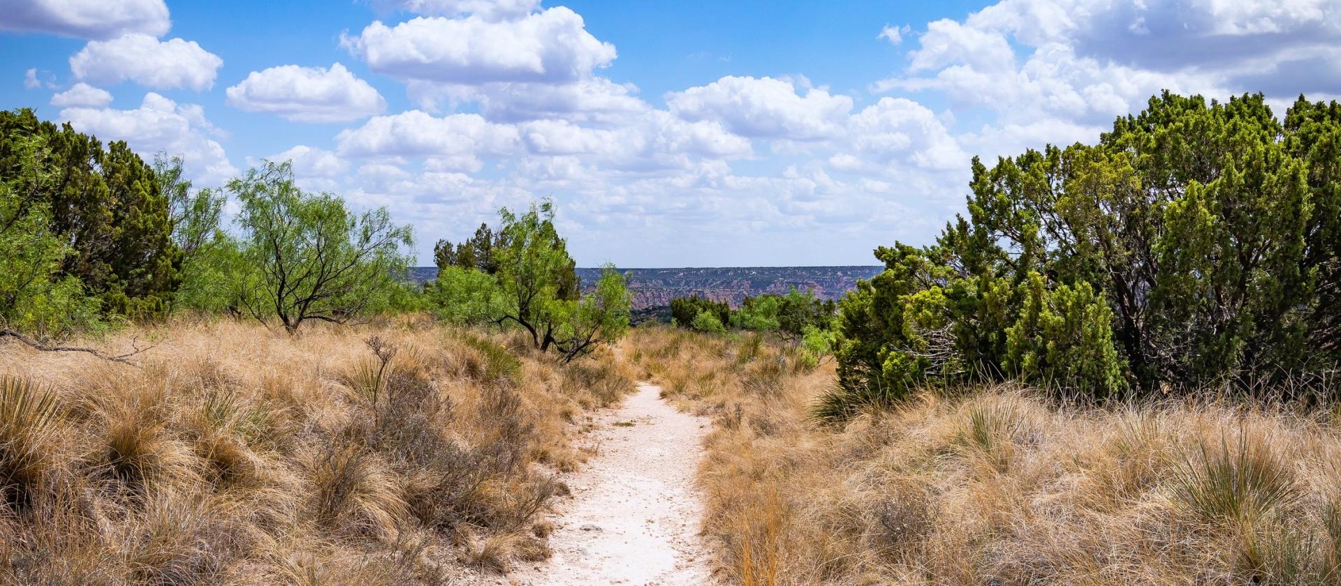 Palo Duro Canyon