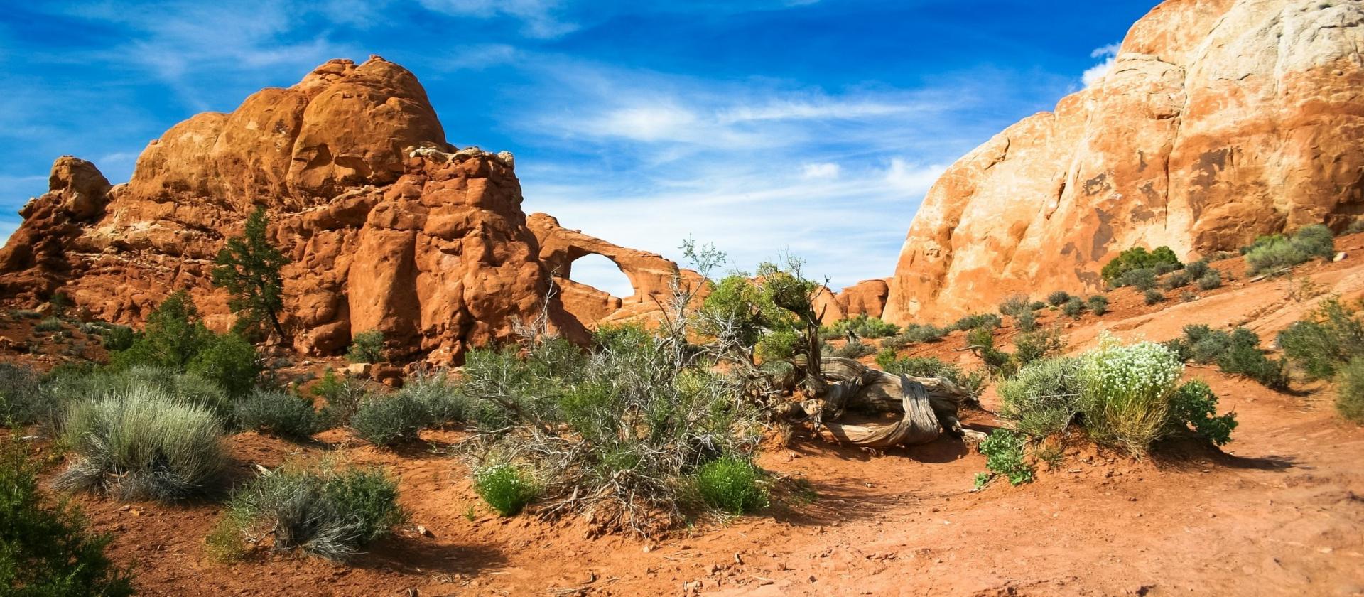 Park Narodowy Łuków Skalnych (Arches National Park)