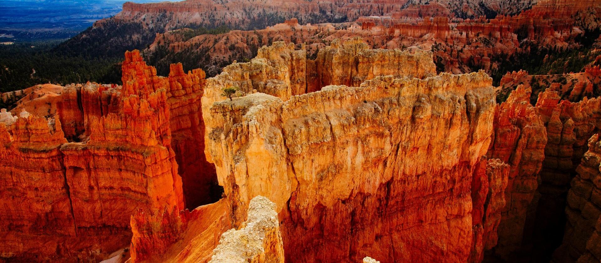 Park Narodowy Kanionu Bryce'a (Bryce Canyon National Park)