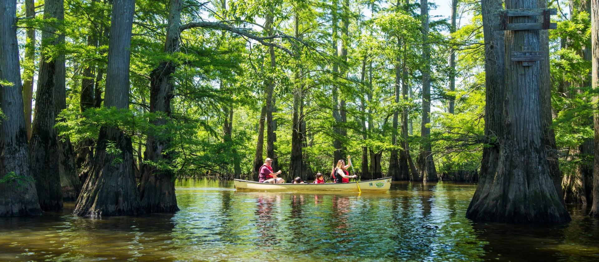 Cache River State Natural Area