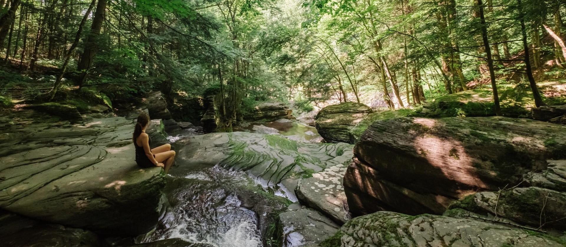 Catskill Mountains