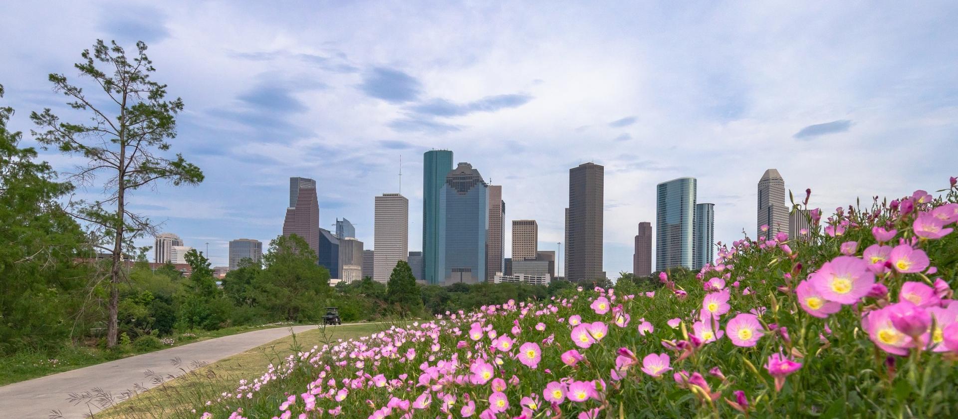 Downtown, Houston