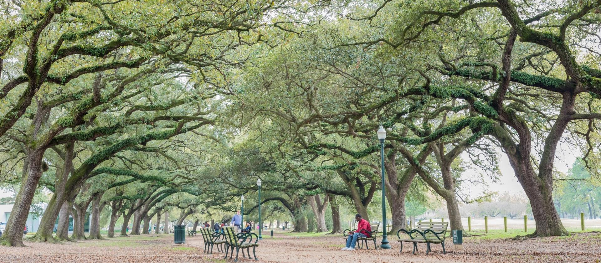 Hermann Park, Houston