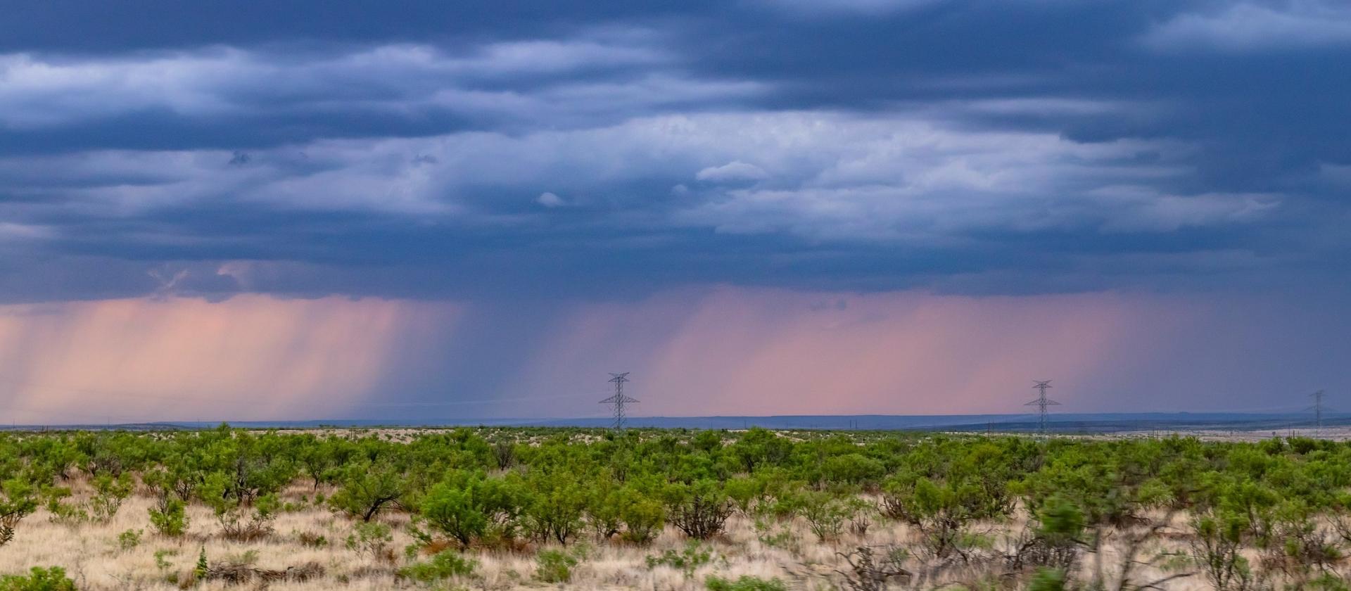 Panhandle Plains 