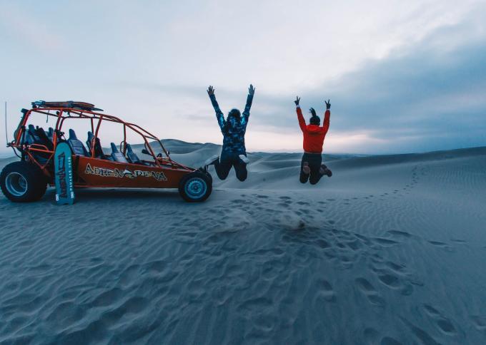 Lwy morskie na Islas Ballestas