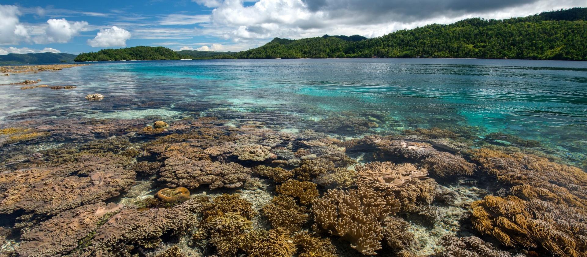 Fascynująca kultura Bali i cuda podwodnego świata Raja Ampat