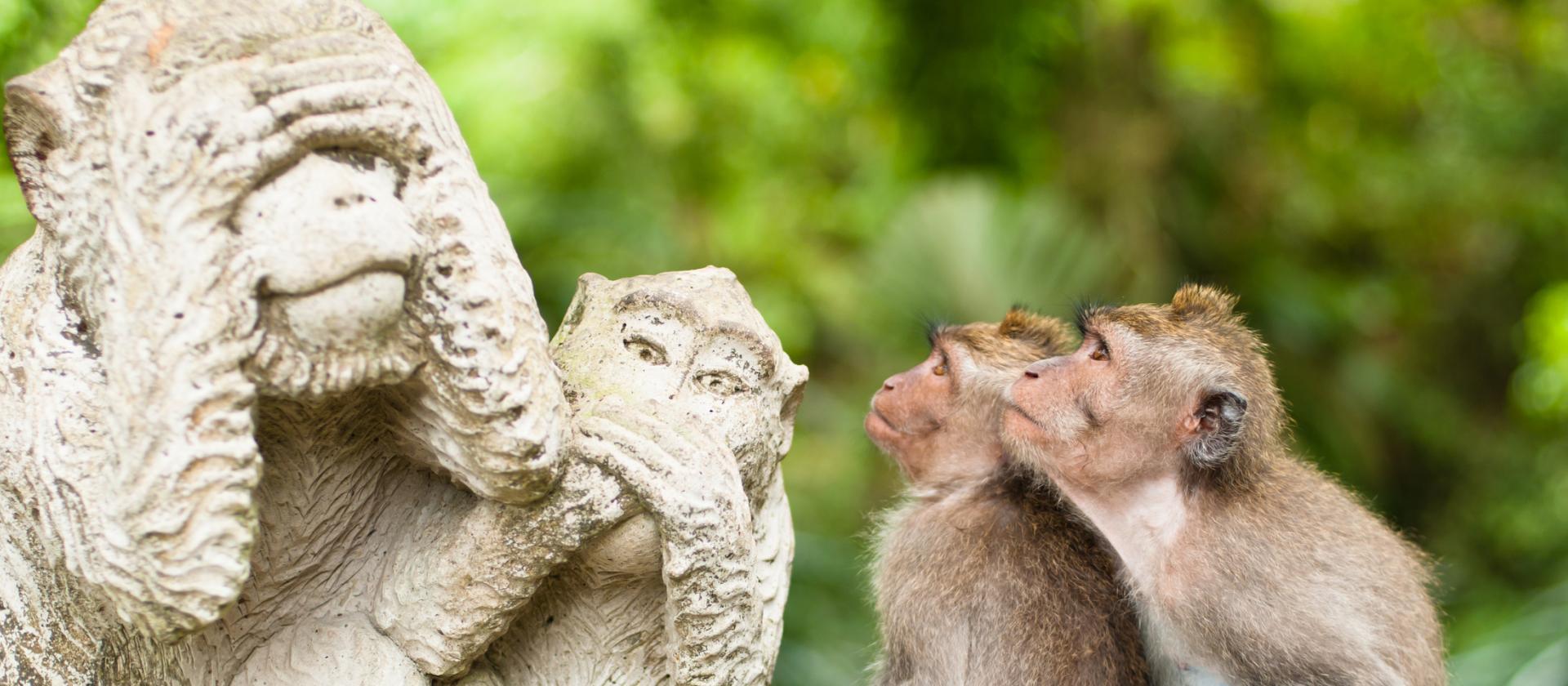 Fascynująca kultura Bali i cuda podwodnego świata Raja Ampat