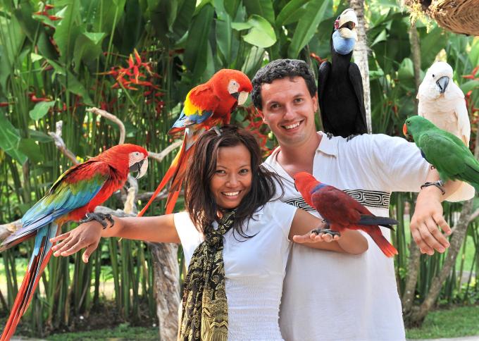 Bali Bird Park – wizyta w Parku Ptaków