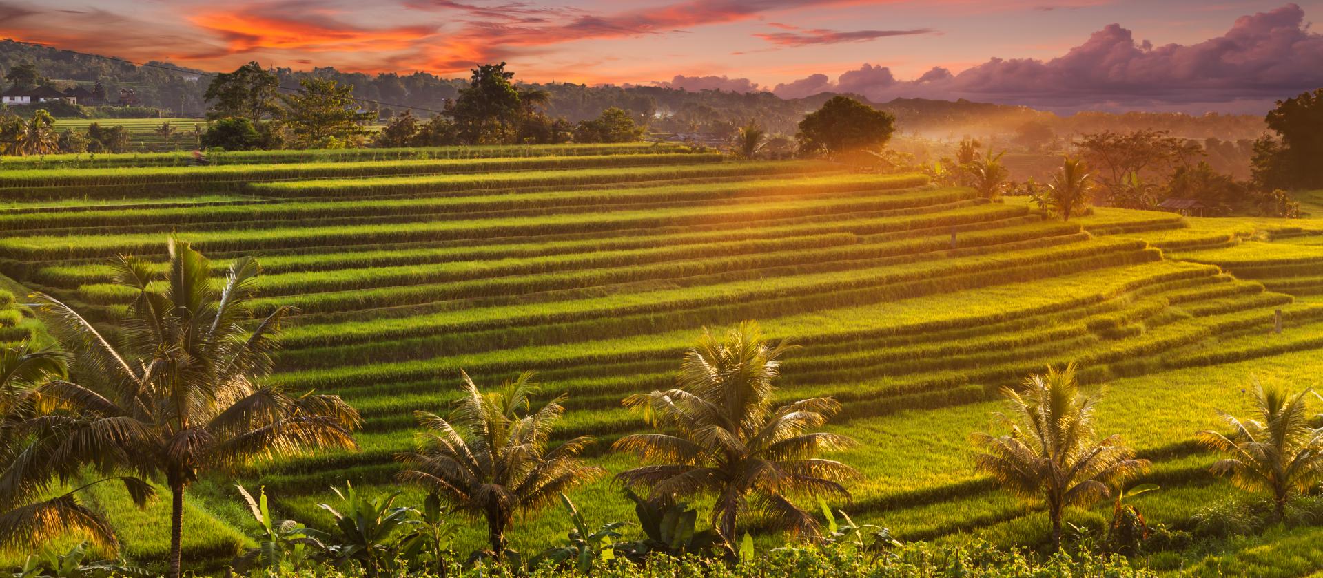 Ekskluzywna wycieczka po najciekawszych atrakcjach Bali