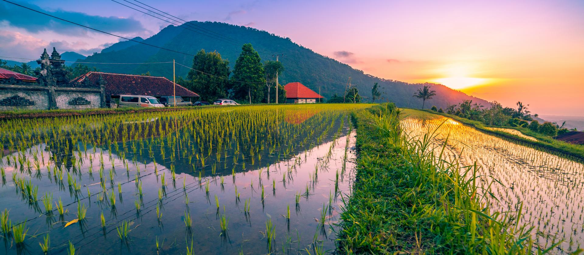 Przejażdżka rowerowa po okolicach Ubud